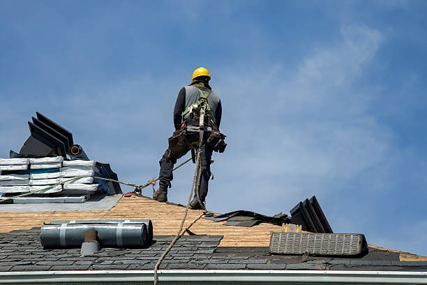 Professional Flat Roof Repair technician working in Lexington, MN